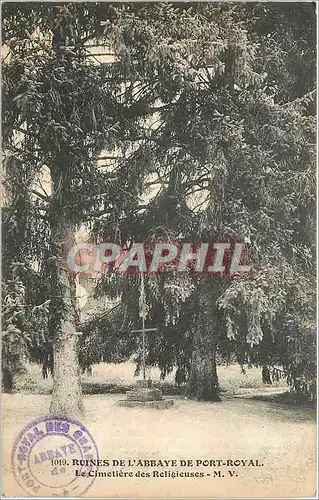 Cartes postales Ruines de l'Abbaye de Port Royal Le Cimetiere des Religieuses