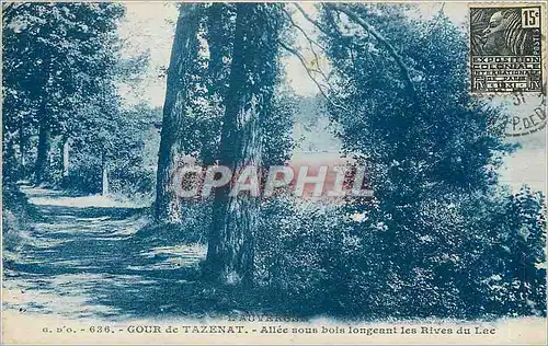 Cartes postales L'Auvergne Gour de Tazenat Allee sous bois longeant les Rives du Lac