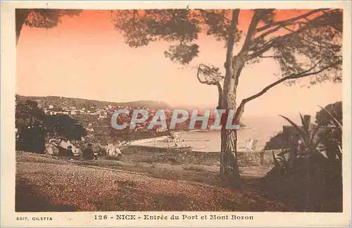 Cartes postales Nice Entree du Port et Mont Boron