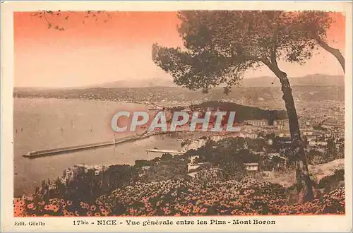 Cartes postales Nice Vue generale entre les Pins Mont Boron