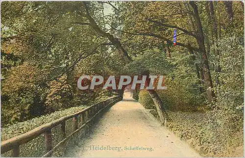 Cartes postales Heidelberg Scheffelweg