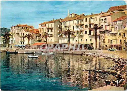 Cartes postales moderne La Corse  oasis de beaut� - Calvi Le Port