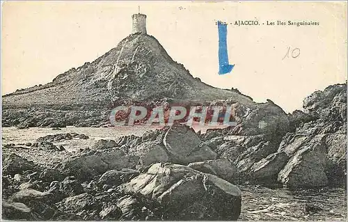 Cartes postales Ajaccio - Les Iles Sanguinaires