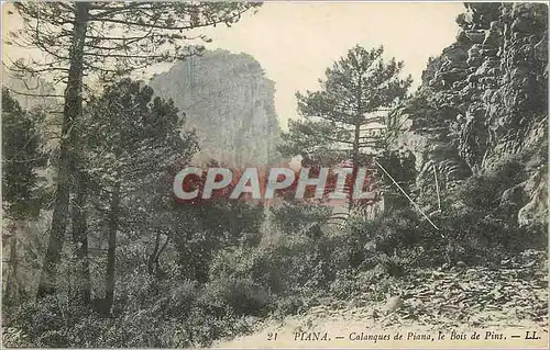 Cartes postales Piana - Calanques de Piana  le Bois de Pins