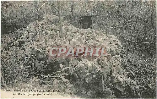 Ansichtskarte AK Foret de Fontainebleau - La Roche Eponge