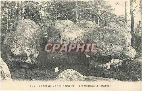 Cartes postales Foret de Fontainebleau -  Les Mausolees d'Apremont