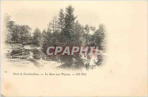 Cartes postales Foret de Fontainebleau -  La Mare aux Pigeons