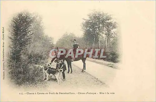 Cartes postales Foret de Fontainebleau -  Chasse � Courre - Chiens d'atttaque Mise � la voie Cheval Chasseur