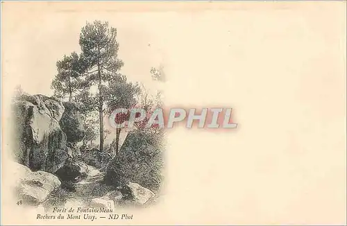 Ansichtskarte AK Foret de Fontainebleau -  Rochers du Mont-Ussy