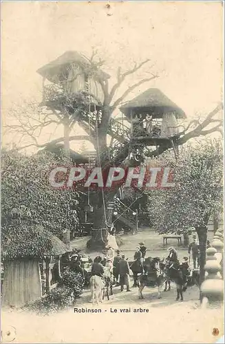 Cartes postales Robinson - Le vrai Arbre Ane Mule