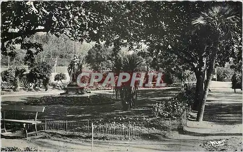 Cartes postales moderne Hyeres-les-Palmiers - Le Jardin Public
