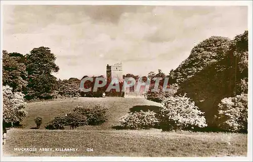 Cartes postales Muckross Abbey. Killarney