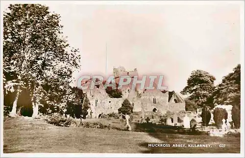 Ansichtskarte AK Muckross Abbey. Killarney