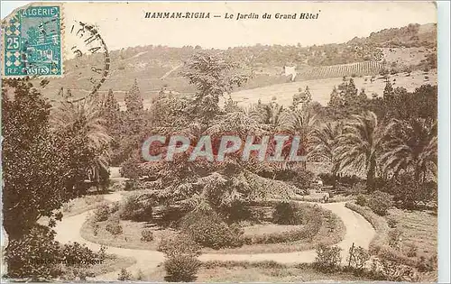 Cartes postales Hammam-Righa - Le Jardin du Grand Hotel