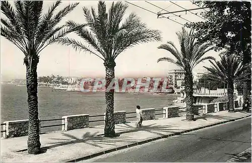 Cartes postales moderne Le Mourillon - vue generale