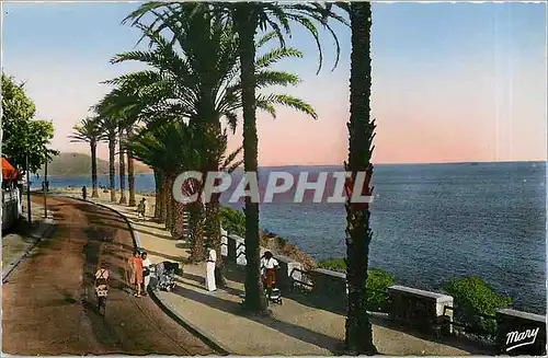 Moderne Karte Toulon-Mourillon - Boulevard Frederic-Mistral