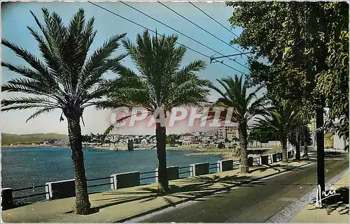 Cartes postales moderne Toulon - Le Mourillon