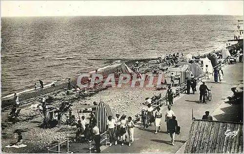 Cartes postales moderne Luc-sur-Mer  La Plage