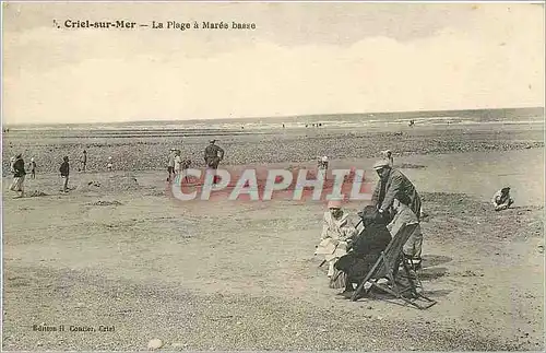 Cartes postales Criel-sur-Mer  -  La Plage � maree basse