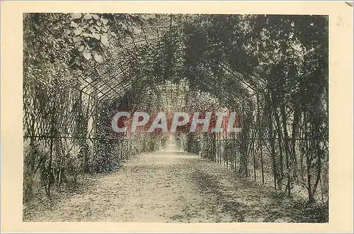 Cartes postales Ch�teau de Compiegne  -  Le Berceau de Marie-Louise