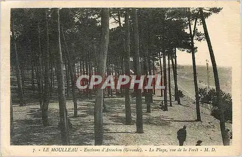 Cartes postales Le Mouleau  -  Environs d'Arcachon  -  La Plage  vue de la Foret