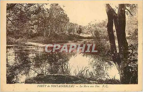 Cartes postales Foret de Fontainebleau  -  La Mare aux Fees