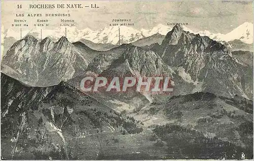 Cartes postales Rochers de Naye les Alpes Bernoises