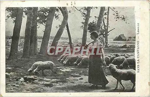 Cartes postales Dans la campagne - Lerolle