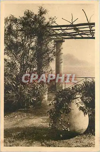 Cartes postales la Tete de Chien vue a travers une pergola