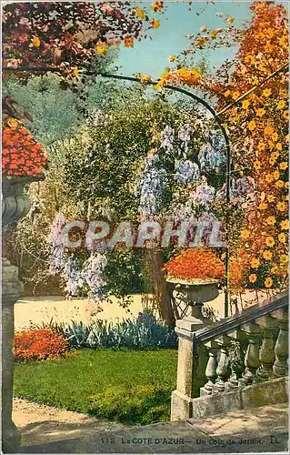 Cartes postales la Cote d'Azur - un coin de jardin