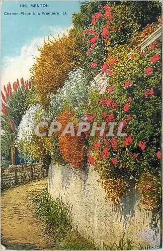 Cartes postales Menton - Chemin fleuri a la frontiere