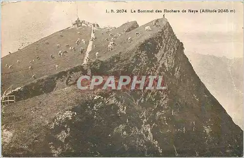 Cartes postales le sommet des rochers de Naye