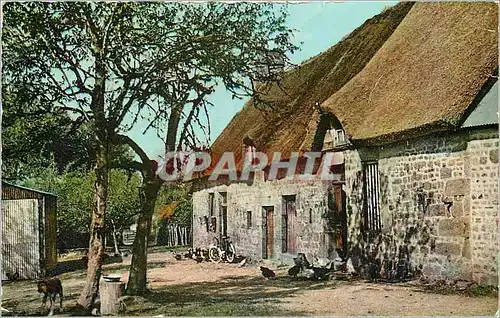 Cartes postales moderne Normandie Cour de ferme