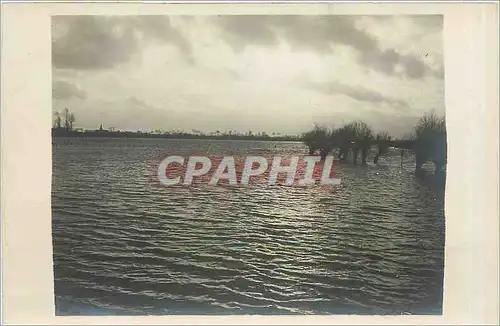 CARTE PHOTO Paysage