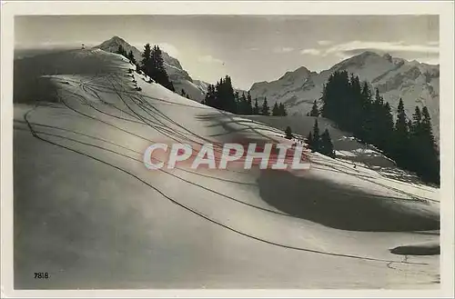 Cartes postales moderne Montagne