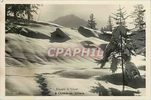 Cartes postales moderne Etude d'hiver a Chesieres Villars