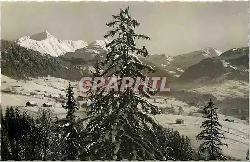 Cartes postales moderne Wildhorn Wasserngrat Gifferhorn