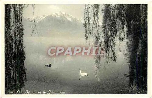 Moderne Karte Lac Leman et le Grammont