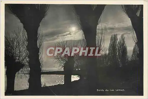 Cartes postales moderne Bords du Lac Leman