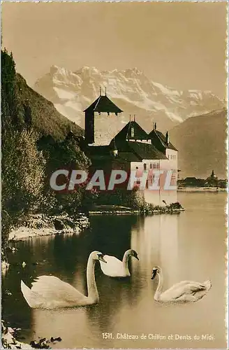 Cartes postales Chateau de Chillon et dents du midi