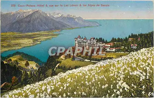 Cartes postales Caux Palace Hotel et bue sur le lac Leman et les Alpes de Savoie