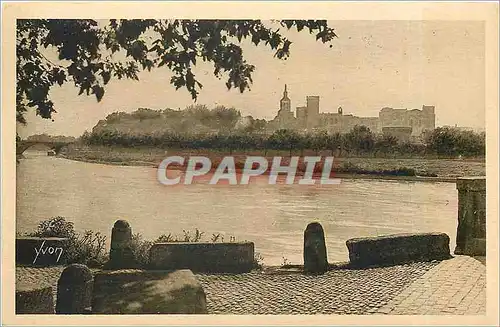 Cartes postales Avignon le Rhone et le Chateau des Papes