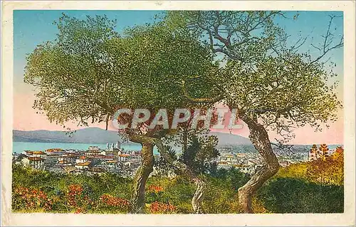 Cartes postales La Cote d'Azur Saint Raphael Var vue generale Etude artistique