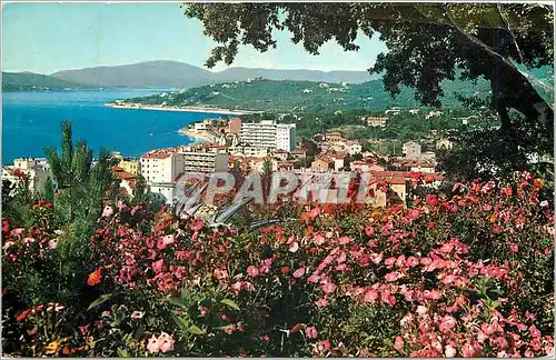 Cartes postales moderne La Cote d'Azur Sainte Maxime sur Mer Var vue generale