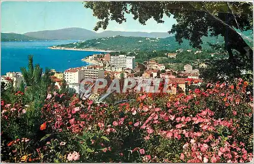 Moderne Karte La Cote d'Azur Sainte Maxime sur Mer Var vue generale