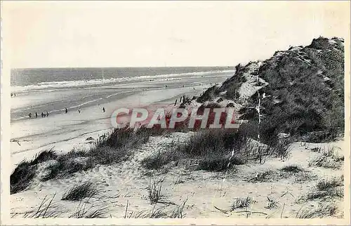 Cartes postales Knokke Zoute Mer et dunes