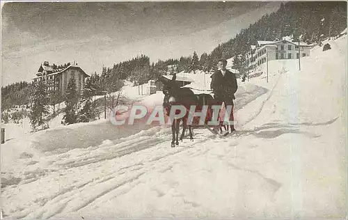 CARTE PHOTO Ane Traineau Alpages