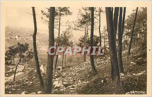 Ansichtskarte AK La Normandie Artistique Montagne du Roule a travers les Pins