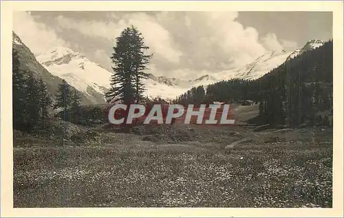 Cartes postales Sils im Engadin im Fextal