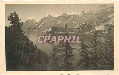 Cartes postales Sils im Engadin Blick von der bella Vista auf den Silser See